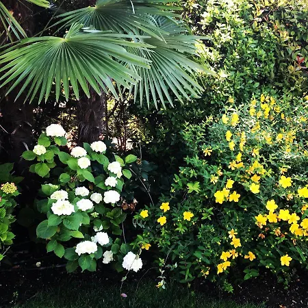 Maison Fortune Apartamento *