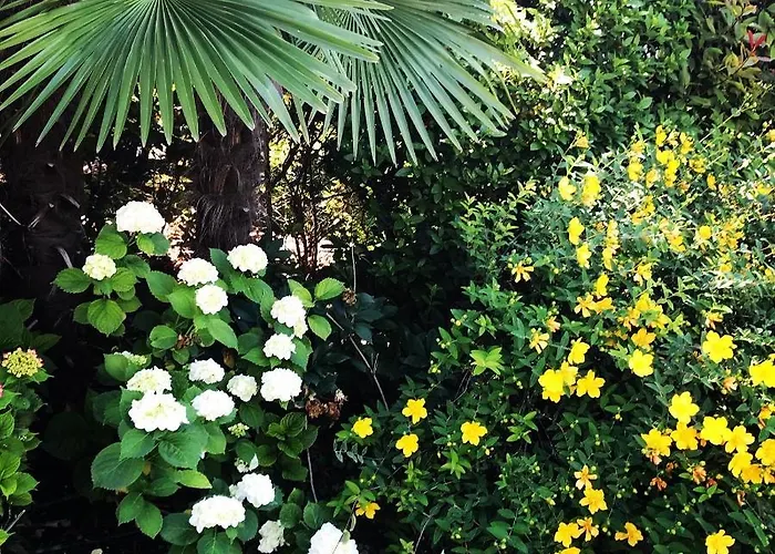 Maison Fortune Apartment *