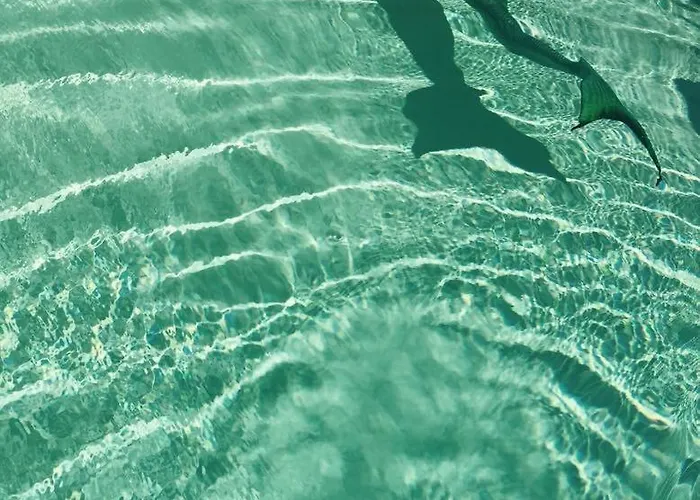 Maison Fortune Castelnuovo del Garda