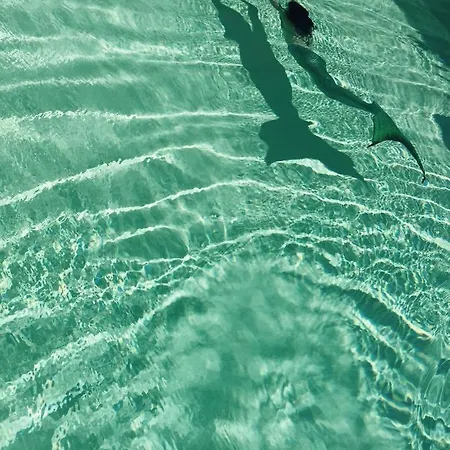 Maison Fortune Castelnuovo del Garda