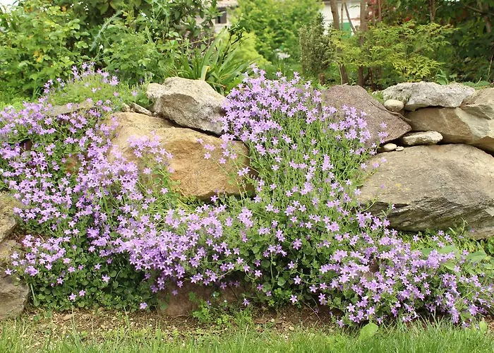 Maison Fortune Апартаменты Кастельнуово-дель-Гарда